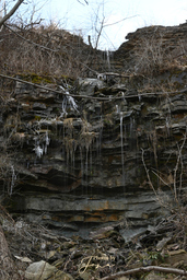 Vinemount East Falls