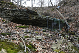 Lewis Rd. West Falls