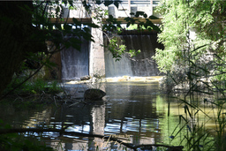 Brant Flour Mills Dam