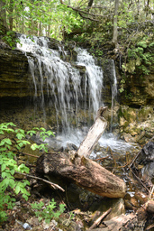 Owl Creek Falls