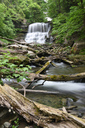 Lower Decew Falls