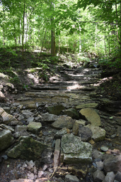 Upper Hopkins Cascade